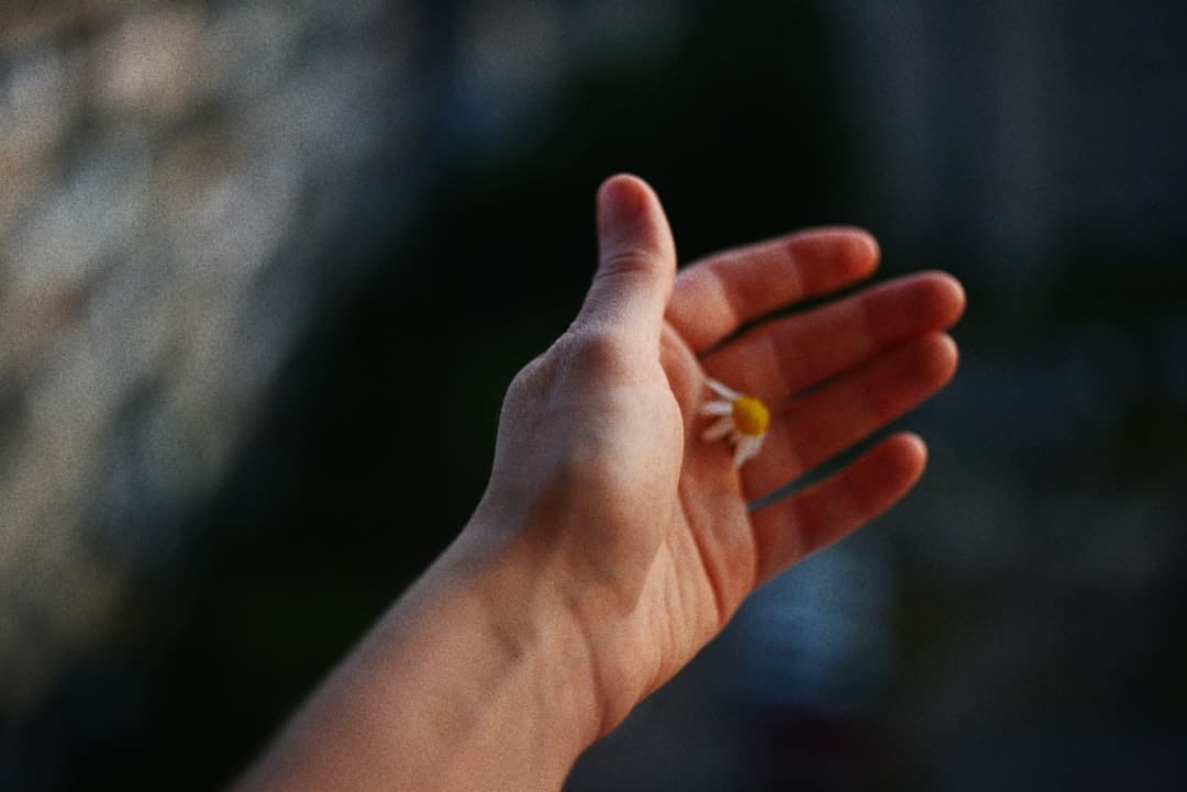 高口碑爱情电影《7天》让观众重新相信爱情 蒋奇明张艺凡解读浪漫设定的极致深情